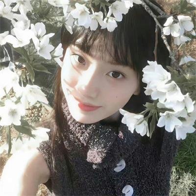 伊布里斯